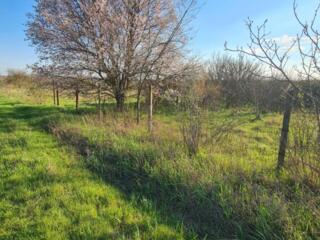 Продается земельный участок с проектом на дом в Суклее