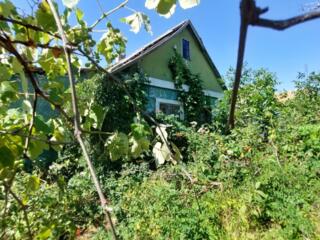 Продам дом с видом на лиман, центр села Александровка.