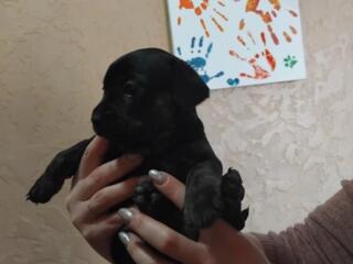 Открыта бронь на миленьких девочек!