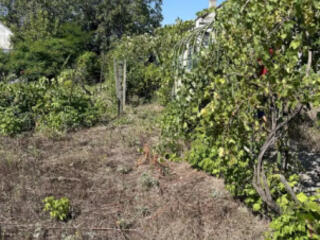 Продам участок в пригороде Одессы/ Бурлачья балка