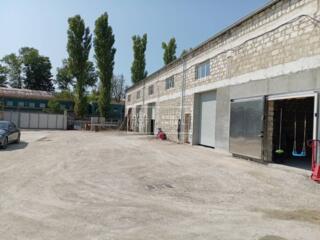 Se oferă spre chirie spațiu industrial, depozit, sectorul Ciocana, ...