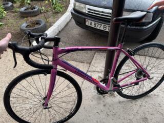 Велик английский 229$