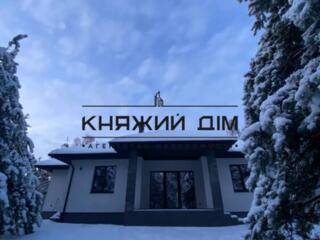 БЕЗ КОМІСІЇ!Будинок з ремонтом в центрі! Дмитрівка ЦентрПродається ...