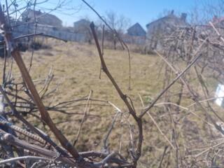 В продаже фасадный участок в кооп. Волна 8 сот. Участок огражден, на .