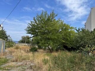 Аркадия участок 13 соток