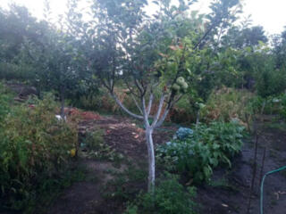 Продается участок за городом с Дачное.