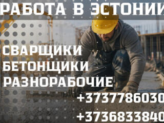 РАБОТА В ЭСТОНИИ ПО БИО ПАСПОРТУ