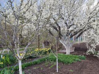 Продам Вашу мечту