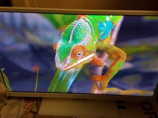 Thomson 32 в отличном состоянии. Возможна доставка