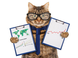 Создаю презентации на любые темы