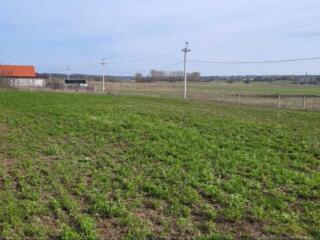 Продається приватна земельна ділянка в селі Дальник, Одеська ...