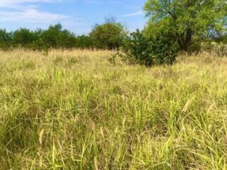 Продается участок , размером 10 соток, для индивидуального дачного ...