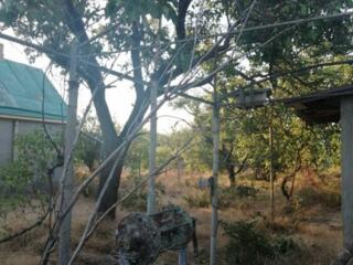 В продаже участок 8 соток под садоводство с домом 30м2. Дом зимнего ..