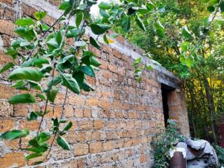 Продам  на Агрономической коробку дома на участке 5,5 соток.