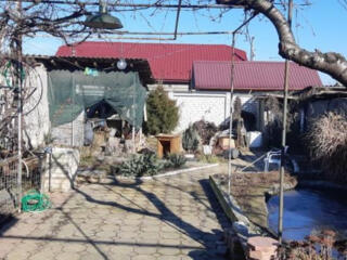 Дом на 2 входа • 124 м² • участок 5 соток.