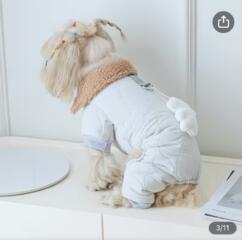 Продам новый костюм для мелкой породы собак