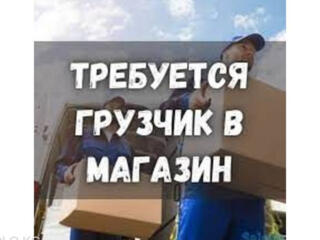 Hamal-magazin materiale de constructii.