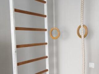 Шведская стенка, Тренажёр "Кардио твистер"