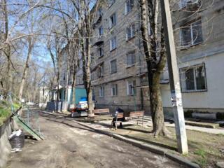 Комната, Ботаника, Кишинёв.