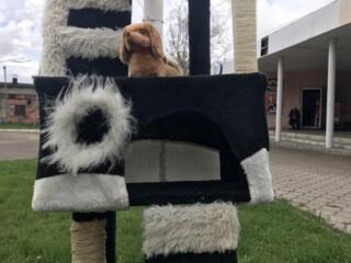 Домик для котов многоярусный с когтеточками ТОРГ!!