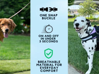 Товары для домашних питомцев