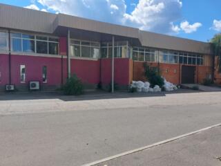 Продаётся производственное помещение. Киевская область, Бориспольский 