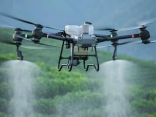 Помощник оператора агродрона без опыта