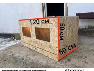 Брудер для цыплят