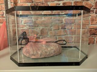 Аквариум 30л (чистые камни и совок впридачу)