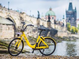 Продаются велосипеды или бизнес по прокату целиком.