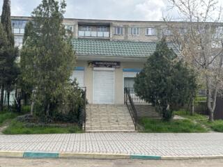 Сдается в аренду