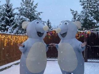 Сдам надувные костюмы крыс