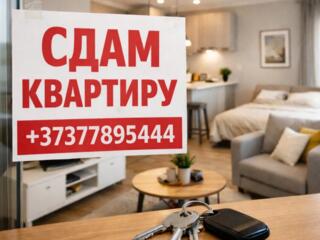 Сдам студию на длительный срок