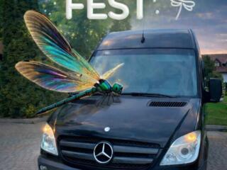 Поездка на Summer Fest 2026