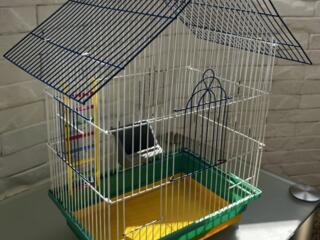 Срочно. Продам клетку для птицы