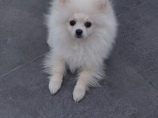 Продам недорого!!!