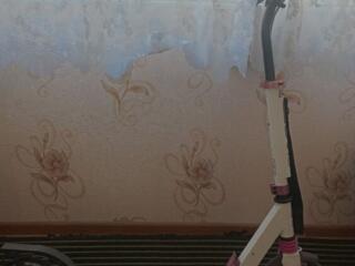 Самокат, доска для рисования