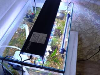 Продам полностью аквариум в комплекте