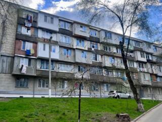 Комната, Ботаника.