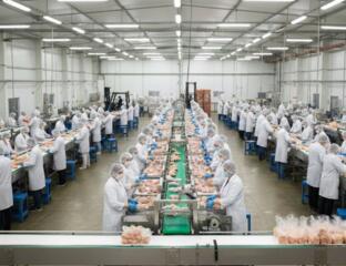 Работа в Польше! Куриный завод.