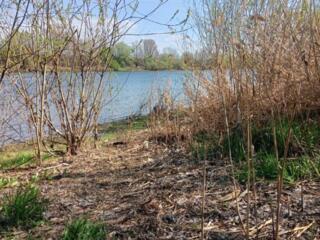 Сниму дачу в районе Меренешт