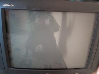 Продам рабочий телевизор
