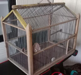 Клетки для попугаев и мелких грызунов.