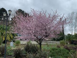 Земельные участки для активного отдыха