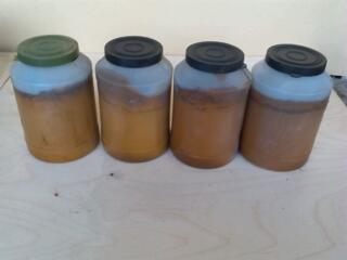 Краска масляная художественная Охра / Vopsea Ulei Ohra (Ocru)