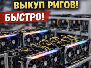 Скупка видеокарт и ригов| в любом количестве, Быстро, деньги сразу