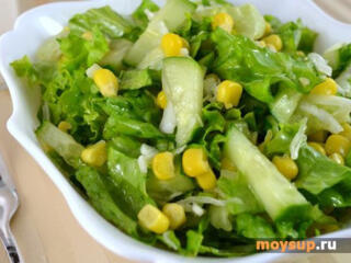 Работа на ферме по выращиванию овощей.