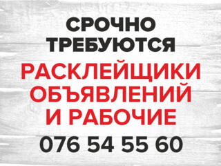 СРОЧНО!!! ТРЕБУЮТСЯ РАСКЛЕЙЩИКИ ЛИСТОВОК и разнорабочие.