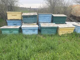 Продам улья