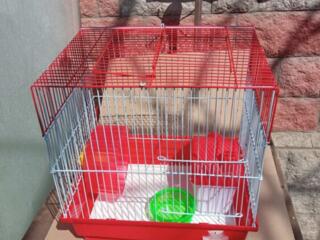 Продам клетку для грызунов.
